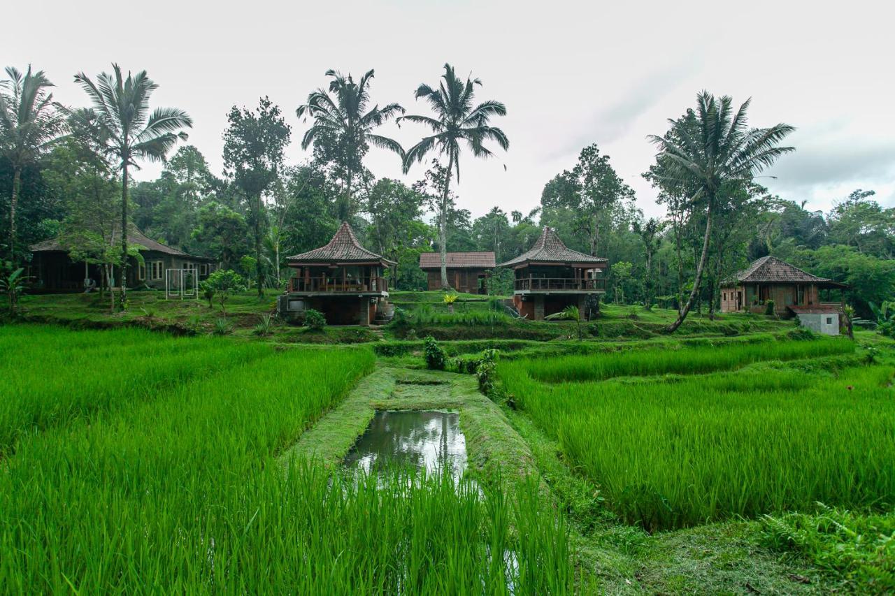 Tepi Sawah Lodge & Retreat Jatiluwih Exterior photo
