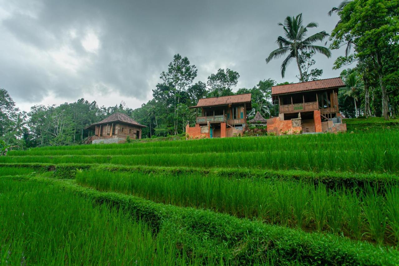 Tepi Sawah Lodge & Retreat Jatiluwih Exterior photo