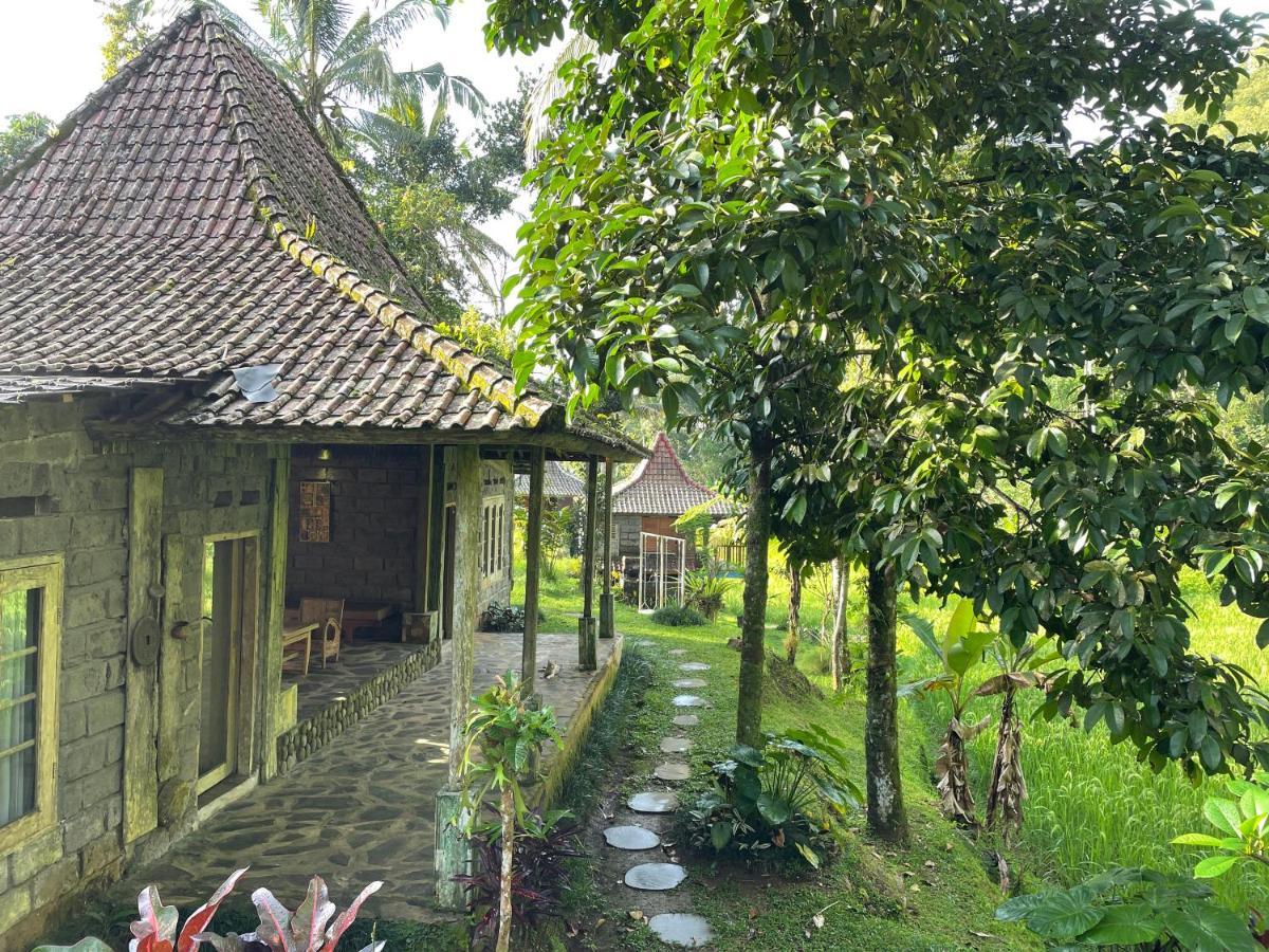 Tepi Sawah Lodge & Retreat Jatiluwih Exterior photo
