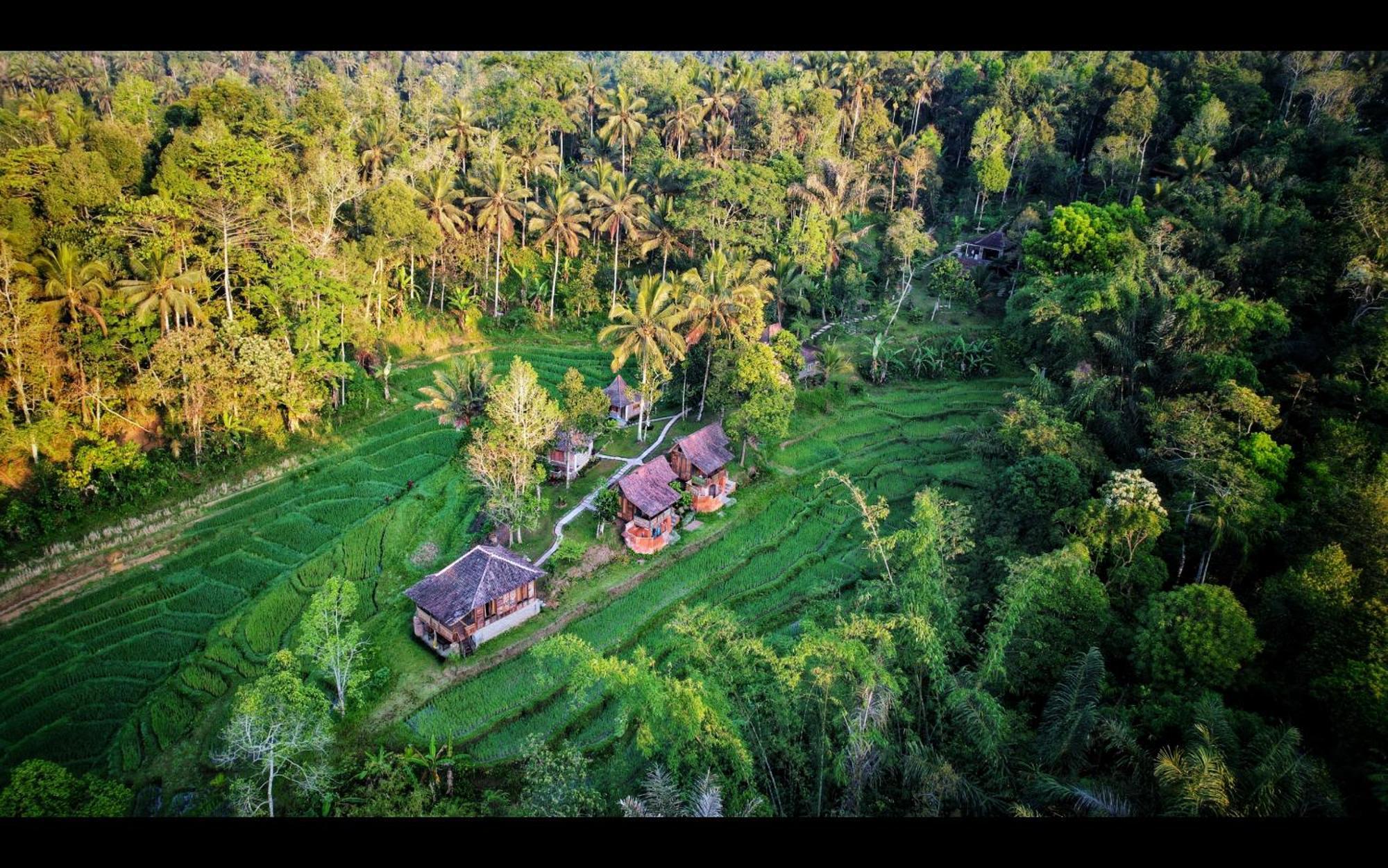 Tepi Sawah Lodge & Retreat Jatiluwih Exterior photo